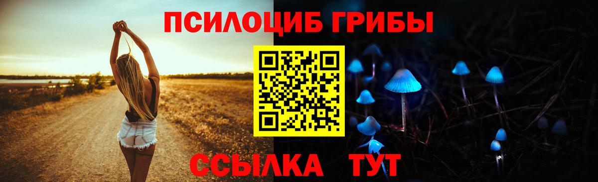 Псилоцибиновые грибы GOLDEN TEACHER Верхний Уфалей